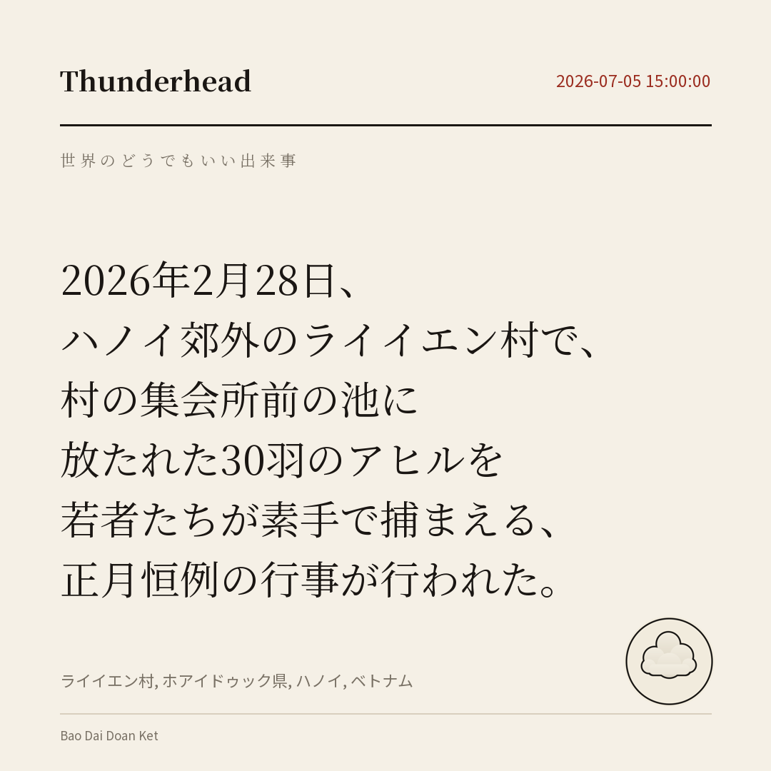 ハノイ郊外のライイエン村で、村の集会所前の池に放たれた30羽のアヒルを若者たちが素手で捕まえる、正月恒例の行事が行われた。